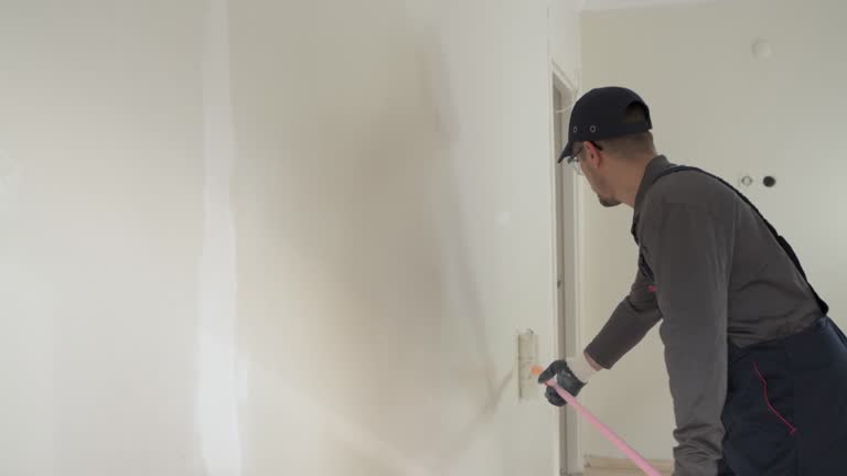 Best Drywall Removal and Disposal  in Eyota, MN